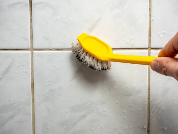Best Residential Mold Remediation in Black Creek, WI